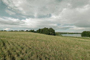 image-16-07-26-11-01-1