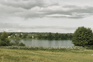 image-16-07-26-11-01